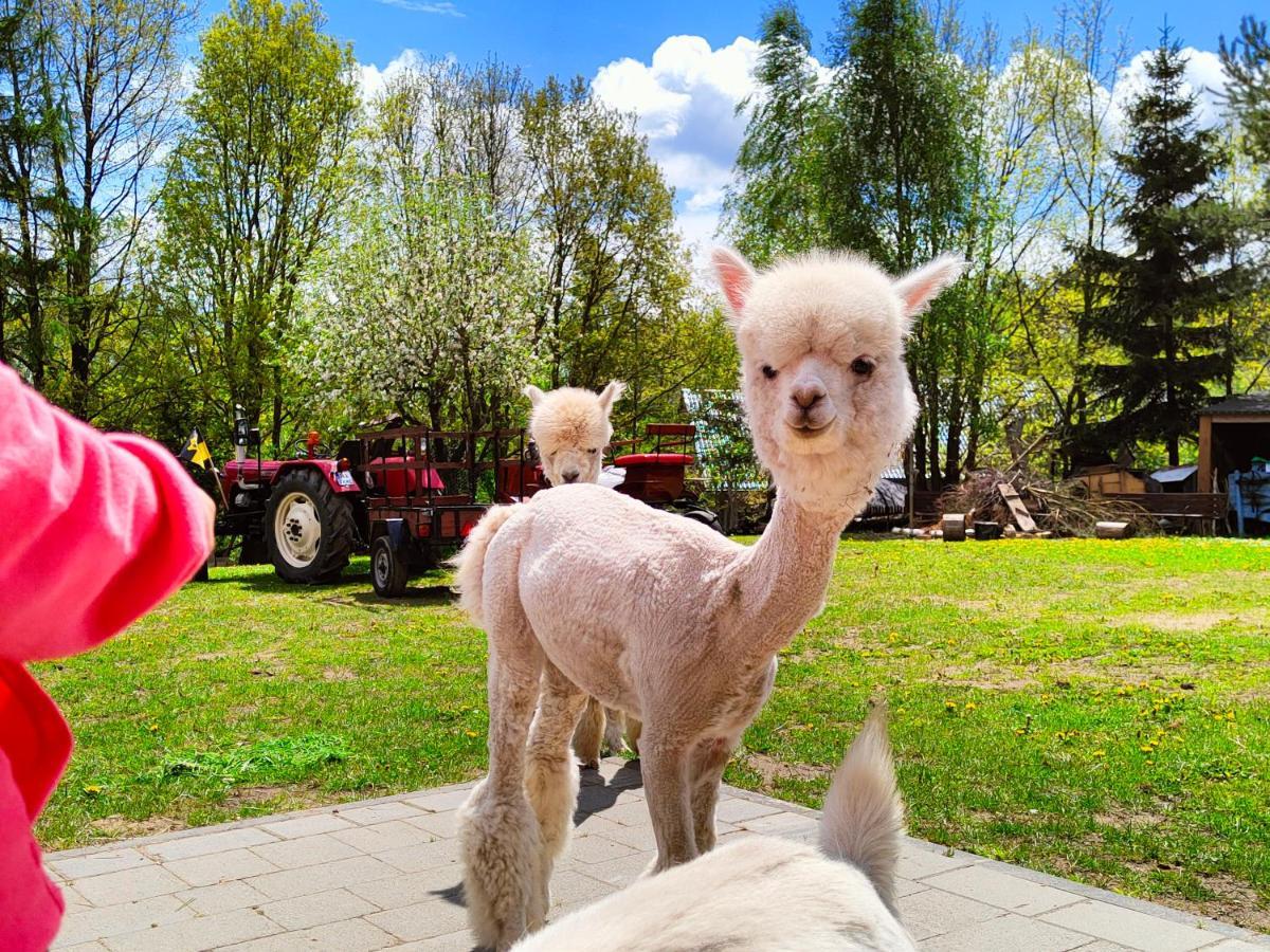 Domek Na Slonecznikowej Chmielno Esterno foto