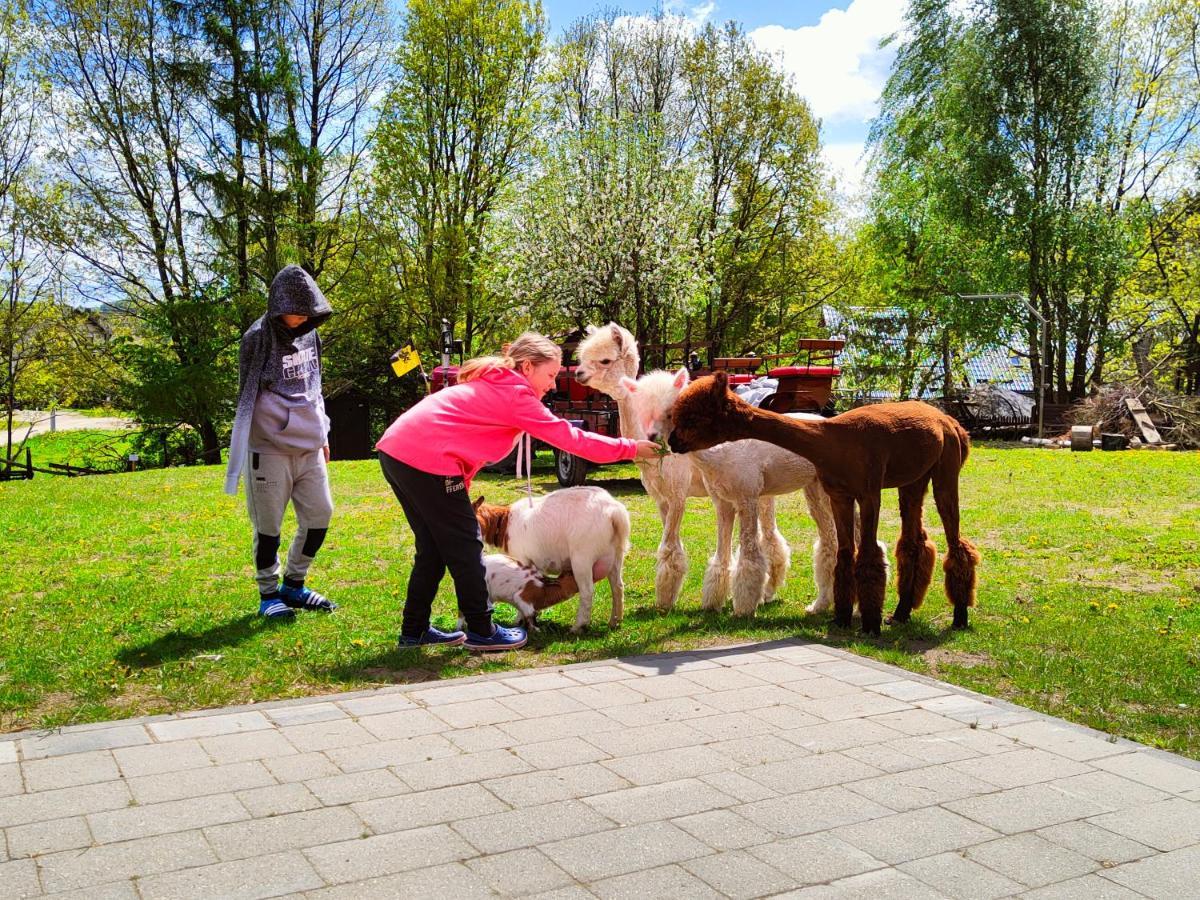 Domek Na Slonecznikowej Chmielno Esterno foto