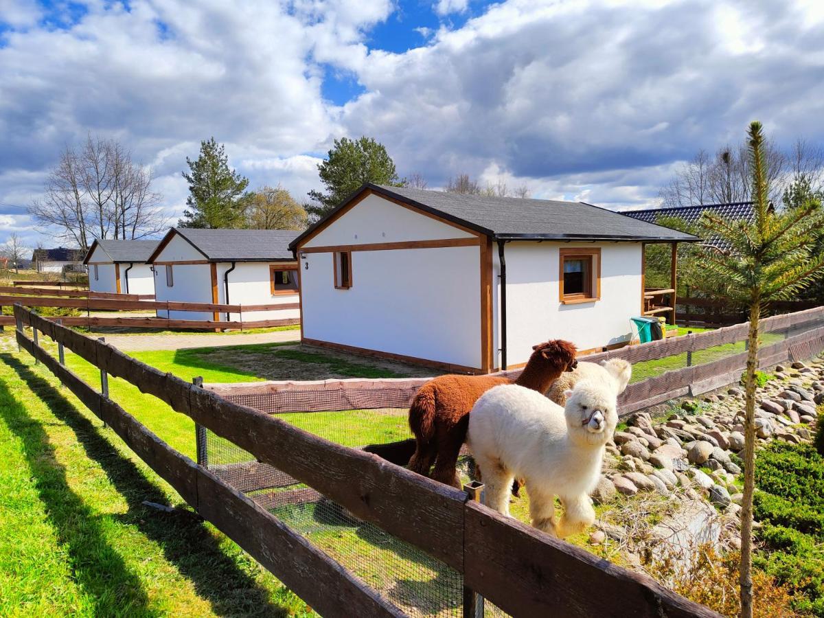 Domek Na Slonecznikowej Chmielno Esterno foto