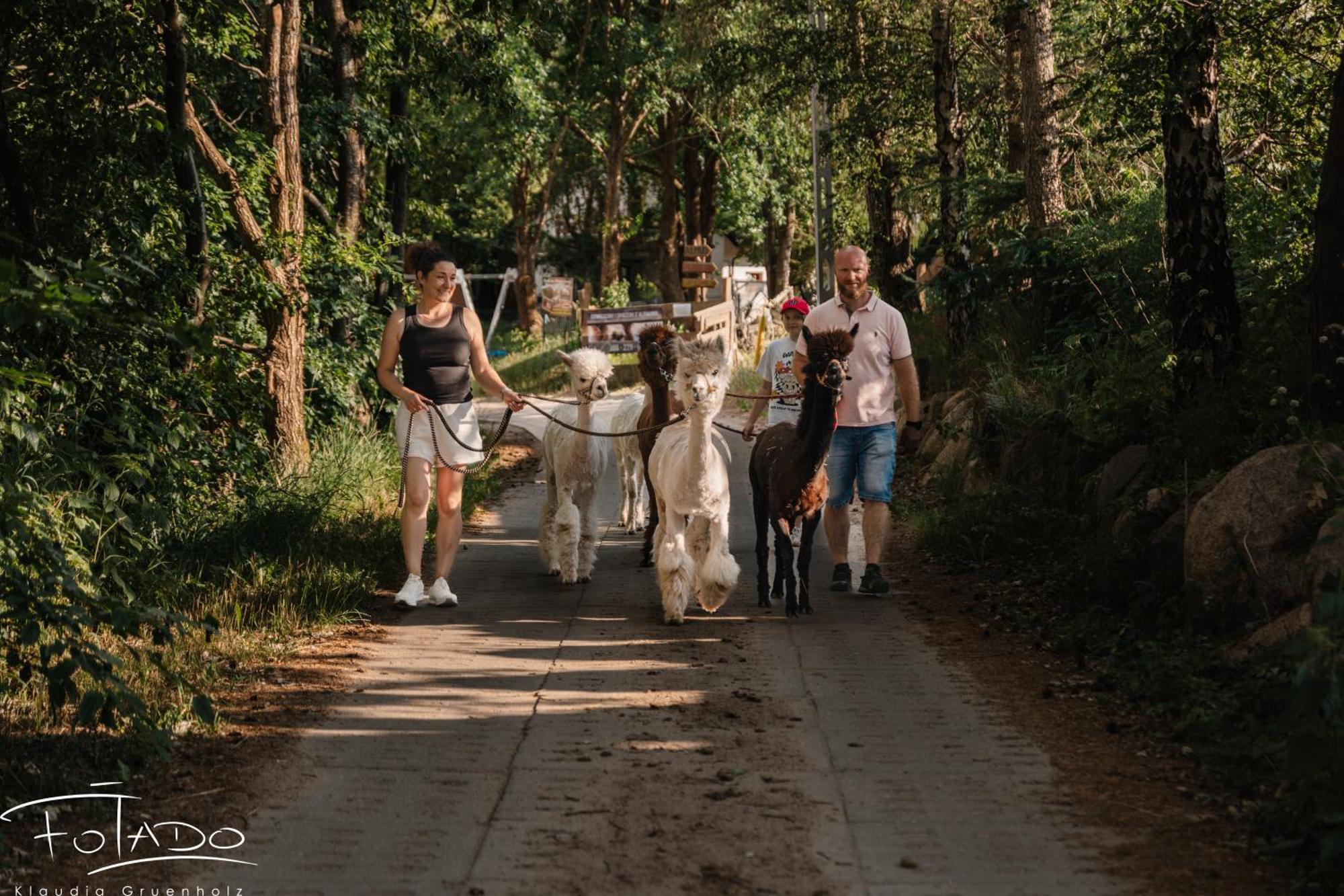 Domek Na Slonecznikowej Chmielno Esterno foto