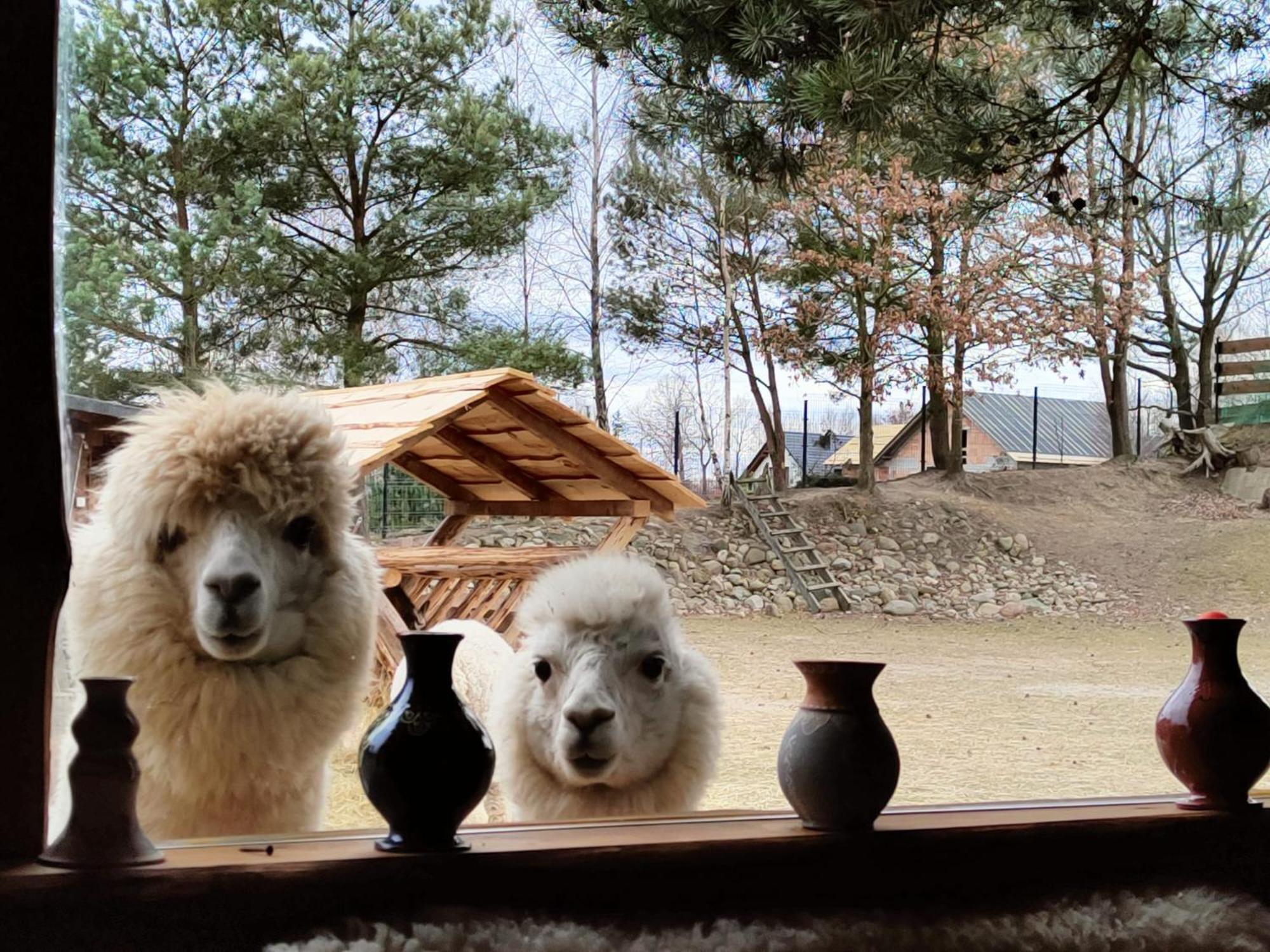 Domek Na Slonecznikowej Chmielno Esterno foto